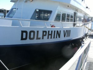 Bateau Dolphin 8, Cape Cod