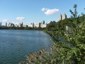 Reservioir Lake, central park, New York