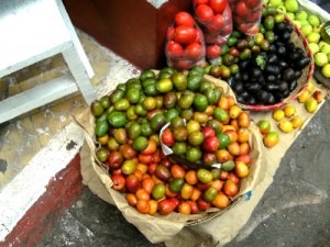 Fruits Mexicains Ciruela