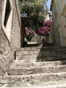 Escalier et lilas, centre ville de Dubrovnik