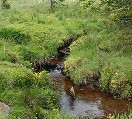 Petit ruisseau