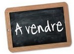 mini-a-vendre